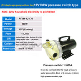 Agricultural High Pressure Garden Electric Tools Spraying Watering Car Wash Irrigation Diaphragm Pump