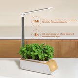 Smart Automatic Hydroponics Growing System - Soilless Cultivation, Small Water Pots with 21 Led Grow Light for Home Kitchen