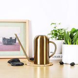 Stainless Steel For Indoor Plants And Garden, Pot 53Oz,Long Spout Watering Can