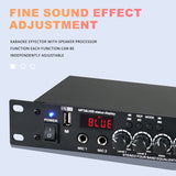 Pre Reverb Effector, Digital Audio Processor, Professional Microphone, Anti Screaming Reverber, Mixer, Intellig