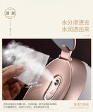 Face Steaming Water Ion Face Steaming Instrument Facial Humidifier Moisturizing Hydrating