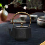 Cast Iron Teapot Loose Leaf Pot Stovetop Safe Ceremony Kettle For Kitchen Household Hotel Room Tea Lovers Gift
