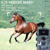Outdoor 60MP WIFI Hunting 4K Night Vision Motion Activated Forest Trigger Wildlife Scouting Camera