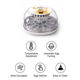 Incubator for Hatching with Automatic Turning Led Egg Test Lamp Clear Lid 12 Eggs Poultry Farm Hatcher Tools