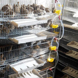 10/20 Pcs Automatic Birds Quail Water Bowl Pigeon Drinking Feeding Bowl Cage Accessory Yellow Drinking Automatic Drink Bowls