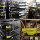 10Pcs Bird Quail Hanging Water Bowl Automatic Drinking Pigeon Duck Water Bowl Small Pet Bee Parrot Bird Small Animal