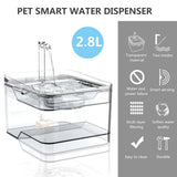 Induction automatic water dispenser