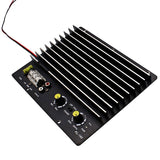 Car audio single channel amplifier Car power amplifier 1000W12V subwoofer power amplifier board KL-180 power amplifier