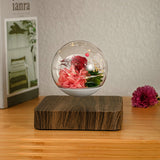 Magnetic Rose Levitation Lamp Creativity Floating Glass LED Bulb Home Office Decoration Magnetic Levitation Night Light Ornament