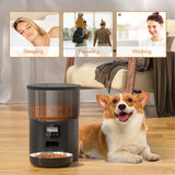 4L Button Smart Automatic Feeder With Stainless Steel Timing Voice For Dog Cat Auto Feeding Bowl Pet Dry Food Dispenser