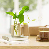 Hot Sale Crystal Glass Test Tube Vase in Wooden Stand Flower Pots for Hydroponic Plants Home Garden Decoration 1PCS