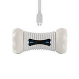 Smart dog toy