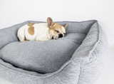 Teddy Golden Retriever Autumn And Winter