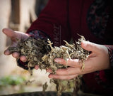 500 grams the health care physical therapy of wild ai (tsao bath bubble foot home moxa leaf grass remove moisture