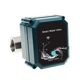Wifi R Valve Remote Automatic Ing S With Home T