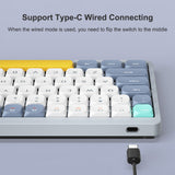 iBlancod 84-Key Wireless Keyboard - 2.4G+BT5.0+Type-C, 75% Low Profile Layout for Tablets, Laptops, and Smartphones