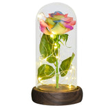 Eternal Rose Flower In Glass Dome With LED Light Wooden Base Valentine Christmas Gifts For Women