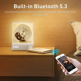 Retro Bluetooth RGB Dazzg Colour Light Rechargeable Audio CD Album Music Player Speaker Decoration Gift