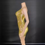 Host's temperament formal with waist cinched suspender for slimming effect, mesh perspective full diamond sexy zipper dress