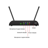 Dual Microphone Karaoke UHF 2 Channel Wireless Micro Phone System for Party Church Home Professional Handheld Mic