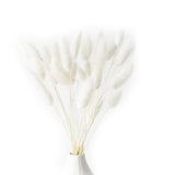 100 Stems Natural Dried Bunny Rabbit Tail Grass, Small Pampas Grass For Boho Decor, Wedding Bouquets