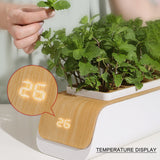 Smart Automatic Hydroponics Growing System - Soilless Cultivation, Small Water Pots with 21 Led Grow Light for Home Kitchen