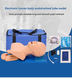 Human Tracheal PVC Adult Intubation Manikin Teaching Model Airway Management Trainer