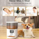 4L Button Smart Automatic Feeder With Stainless Steel Timing Voice For Dog Cat Auto Feeding Bowl Pet Dry Food Dispenser
