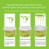 Two Layer Bean Sprouts Maker Thermostat Green Vegetable Seedg Growth Bucket Automatic Electric Sprout Bud Germinator hine