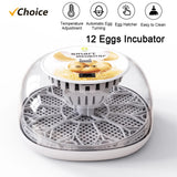 Incubator for Hatching with Automatic Turning Led Egg Test Lamp Clear Lid 12 Eggs Poultry Farm Hatcher Tools