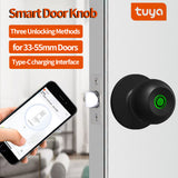 Fingerprint For Bedroom Smart Biometric Door Knob Lock with App Control for Bedrooms Cloakroom Apartments Offices
