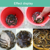2pcs Cage Fishnet Finless Eel Loach Trap Pot Durable Plastic Container Crab/Crayfish/Shrimp/Smelt/Eels Traps Fishing