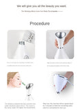 Face Steaming Facial Steam Engine Nano Heating Wet Hydrating Whitening Beauty