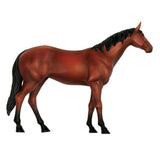 Animal Organ 4D Horse Intelligence Assembling Toy Teaching Anatomy Model DIY Appliances