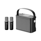 20W Bass Sound KTV Portable Dual Handheld Wireless Microphone System, 5.0 Bluetooth, For Family Karaoke, Parties And Church
