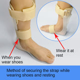 1Pair Adjustable Drop Foot Brace AFO Spt, Ankle Stabilization Orthosis Support for Stroke, Charcot Achilles Tendon Contract