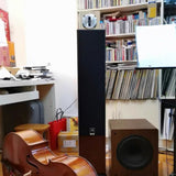 A Pair of High-Definition Epoxy Neodymium Iron Boron Magnetic Aluminum-Magnesium Alloy Diaphragm Hifi-Level Super Tweeters
