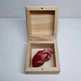 Creative Real Organ Box Prank Toys Toy Spoof Funny Trick Human Heart