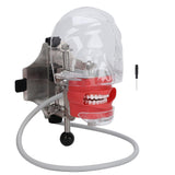 Dental Simulator Mannequin Removable Teeth Dental Head Model for Dental Schools Education Practical Demonstration
