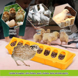 30cm Chicken Feeder Fountain 16 Holes Poultry Ground Feeder Plastic Clamshell Feeding Chicken Groove Farm Breeding Supplies