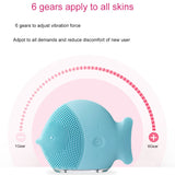 USB Wireless Charger Pro Silicone Face Cleanser Massager Double Sided Facial Skin Cleansing Exfoliator Brush Beauty Instrument