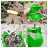 25 Pieces Of Plant Propagation And Rooting Ball Device-Reusable Plant Propagation Grafting Box (S, Green)