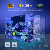 TV98 12 Allwinner H313 Quad Core 4K HDR Android TV Dual Wifi 4G 5G Media Player BT Smart Set Top Box