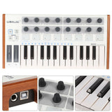 Worlde Midi Controller Keyboard Musical Instrument Digital Piano 25 Note Velocity-Sensi Keyboard Midi Keyboard Controller