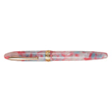 Pen Hongdian 14K Gold Nib Fountain Pen for Upscale Gift N9 Fk