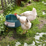 2.2L Pet Heated Water Bowl with Intellectual Temperature Control - For Dogs in Winter.