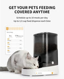 3L WiFi, 304 stainless steel timed feeding pet food dispenser