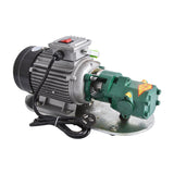 WCB-75 Self-Priming Portable Cast Iron Temperature Electric Gear 750W Small High Viscosity Oil Pump 220V
