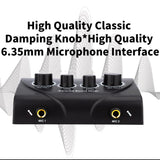EU/US Portable Dual Mic Inputs Audio Sound Amplifier & Microphone Karaoke Ok Mixer BlackPlug for Company Home Hot Sale