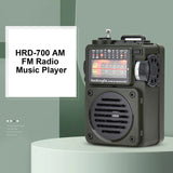 HRD-700 AM FM Radio Music Player Portable Receive Signal Rechargeable Punk Retro Art Birthday Gift Metal Antenna With Slot Green